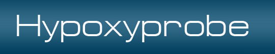hypoxyprobe